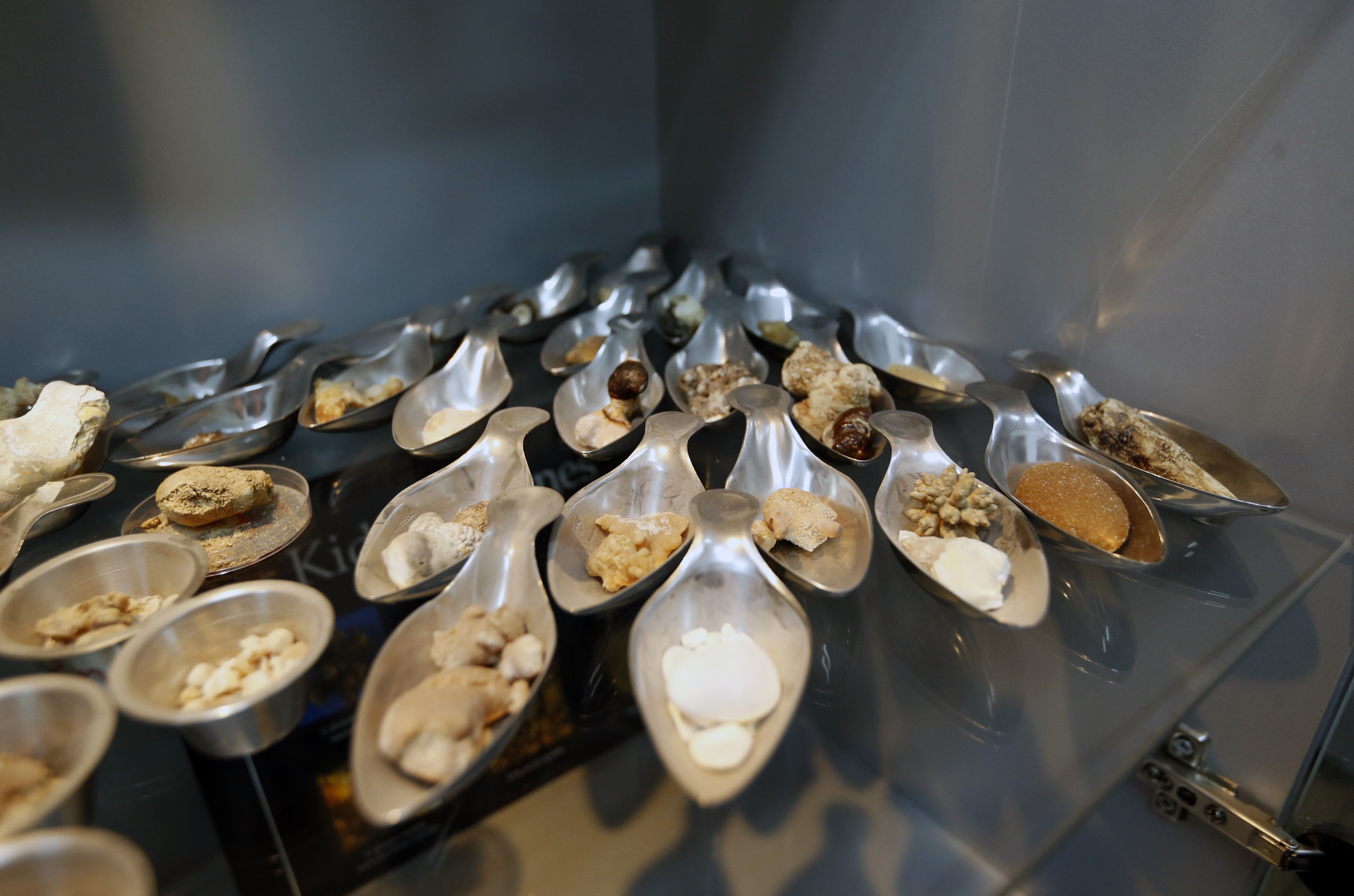 Միզաքարերի լաբորատորիա